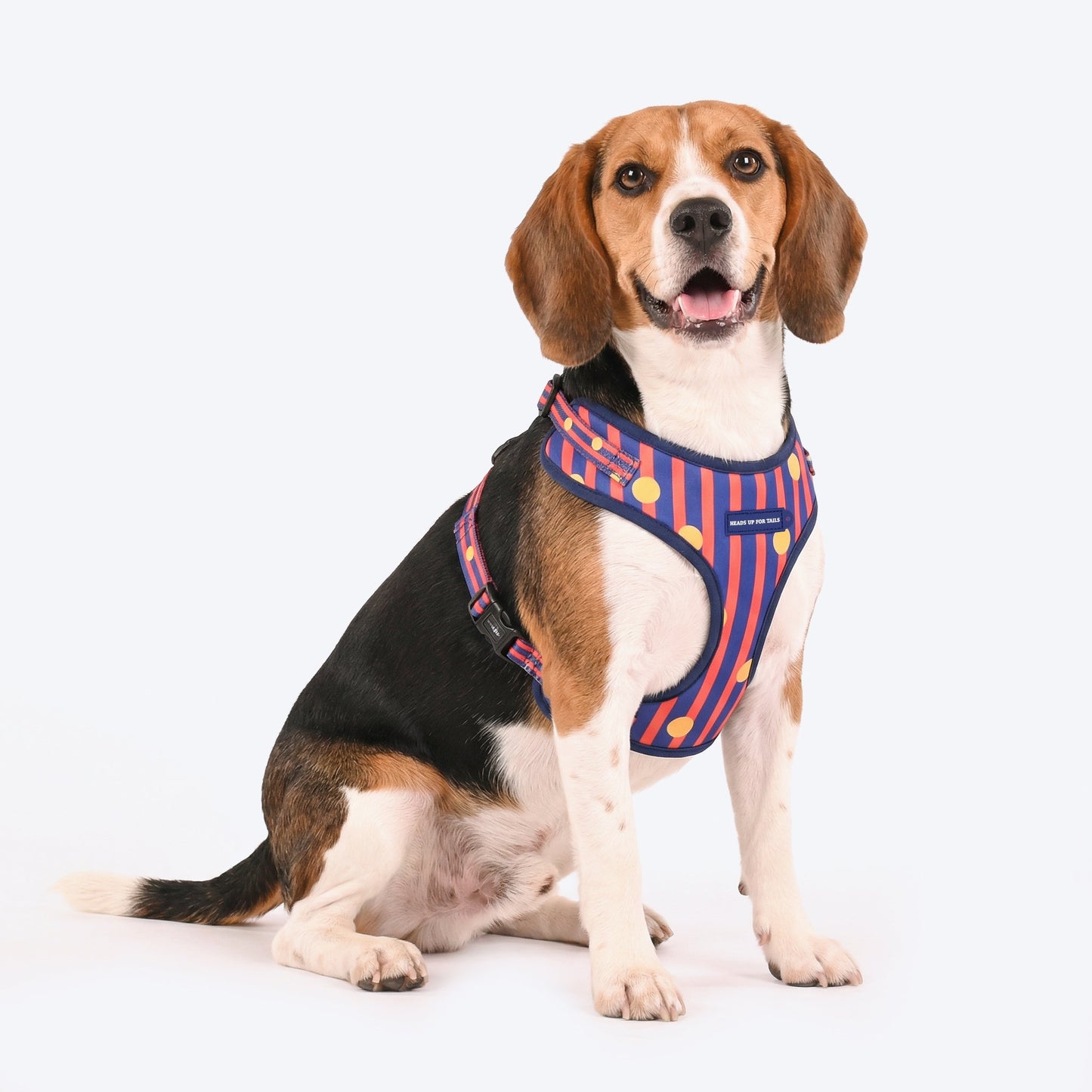 HUFT Playstripes Adjustable Harness For Dog - Rust & Navy