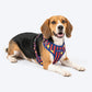 HUFT Playstripes Adjustable Harness For Dog - Rust & Navy