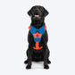 Dash Dog Walk Pro Harness For Dog - Blue & Orange