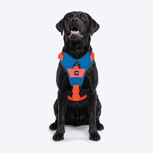 Dash Dog Walk Pro Harness For Dog - Blue & Orange