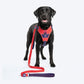 Dash Dog Walk Pro Harness For Dog - Red & Purple