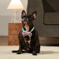 HUFT Pawsome Blossom Bow Tie With Collar For Dog - Green & Pink - Heads Up For Tails