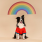 HUFT Woof Squad Sweatshirt For Dog - Red - Heads Up For Tails
