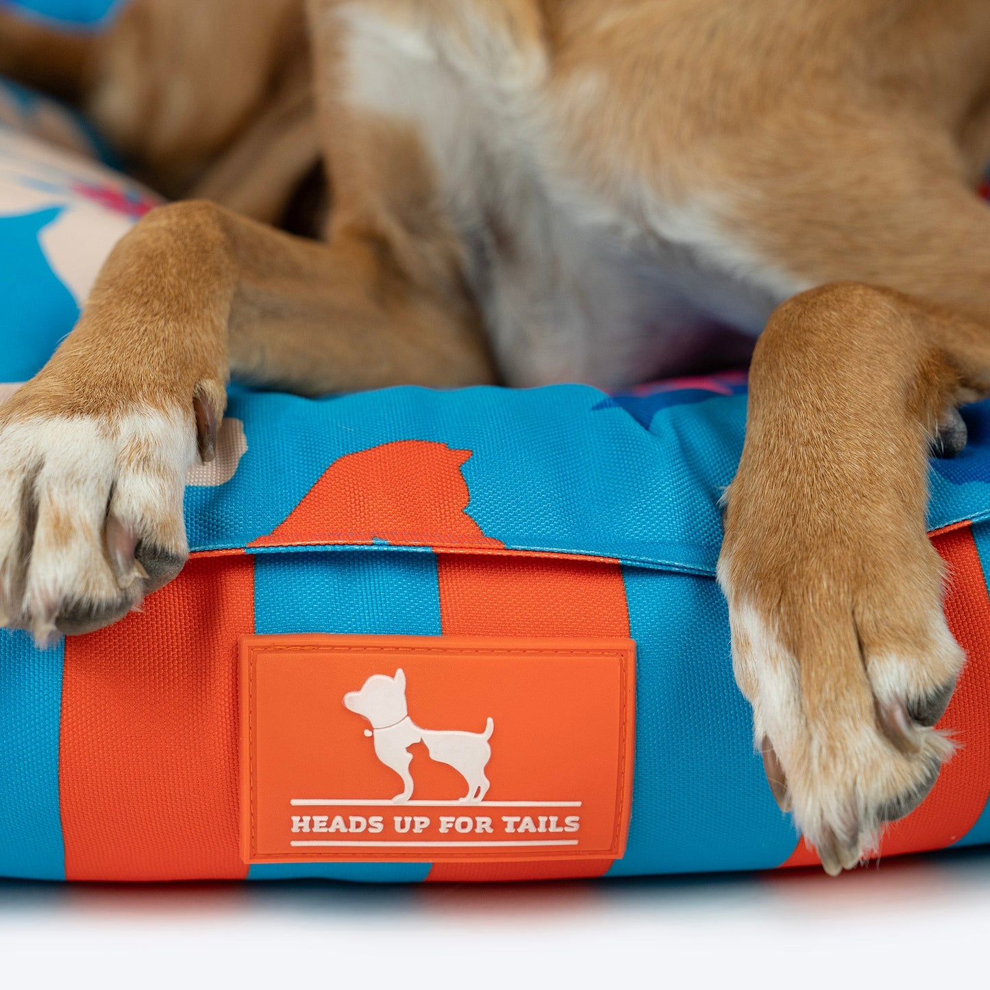 HUFT Summer Bloom Lounger Bed For Dog - Blue - Heads Up For Tails