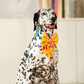 HUFT Blush Bloom Lady Bow Tie For Dog - Yellow - Heads Up For Tails