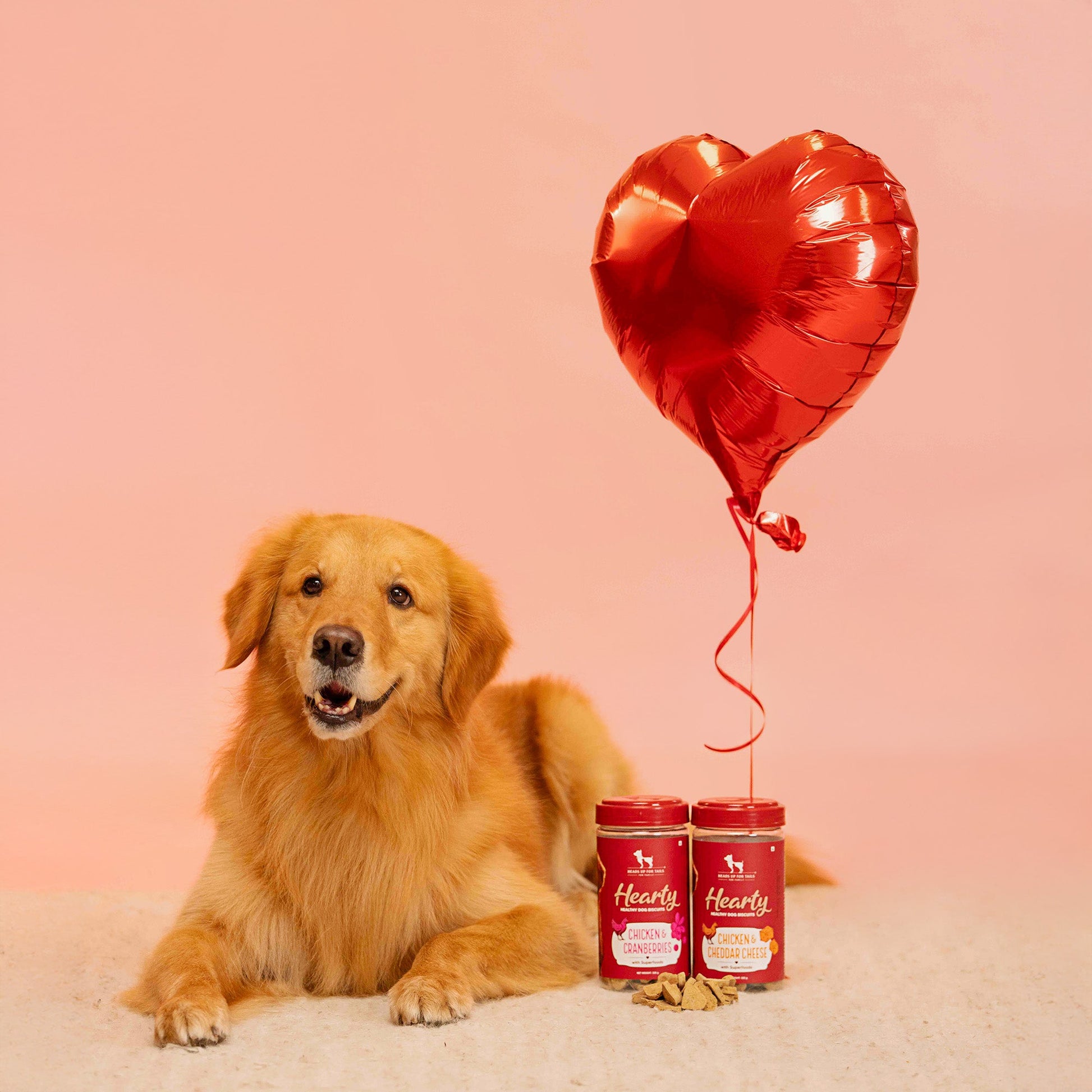 Hearty Biscuits Twin Pack - With Chicken, Cheddar Cheese & Cranberries - 640 gm - Heads Up For Tails
