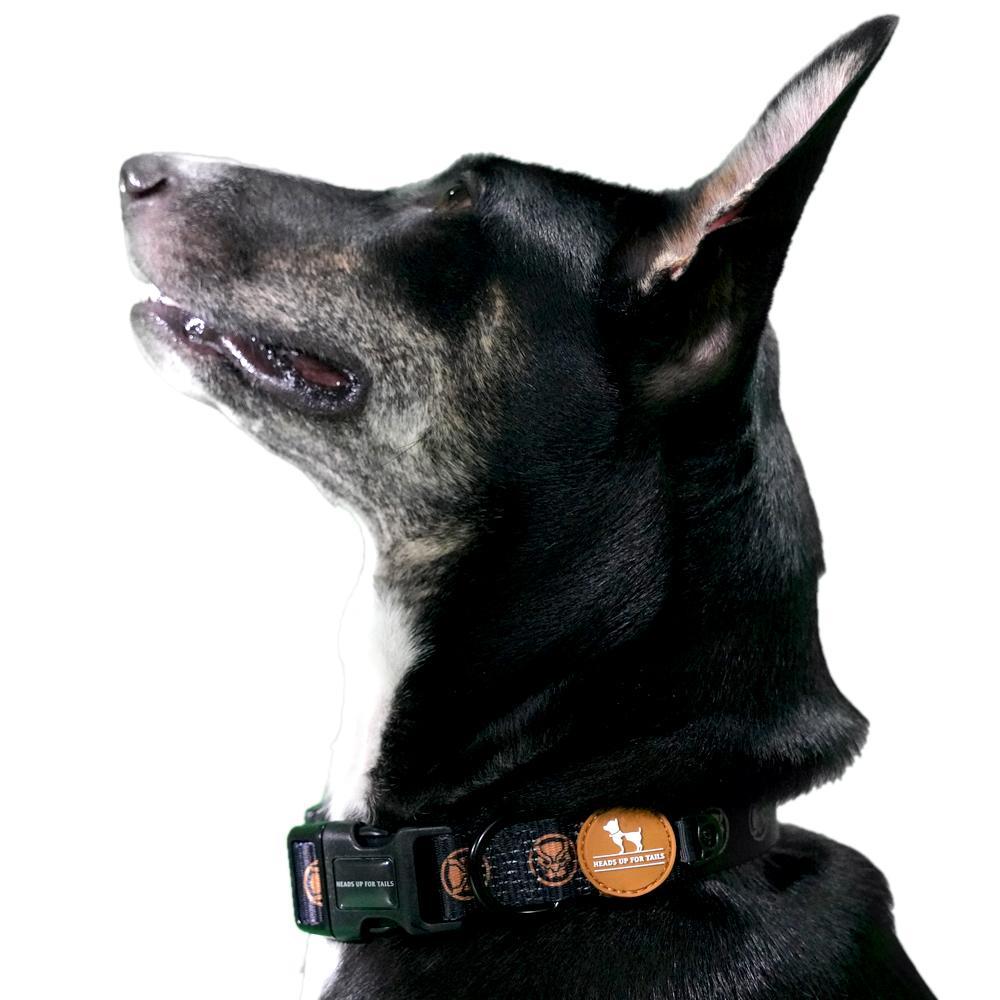 HUFT XÂ©Marvel Black Panther Dog Collar - Heads Up For Tails