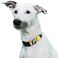 HUFT XÂ©Marvel Yellow Avengers Dog Collar - Heads Up For Tails