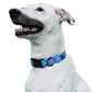HUFT XÂ©Marvel Captain America Dog Collar - Heads Up For Tails