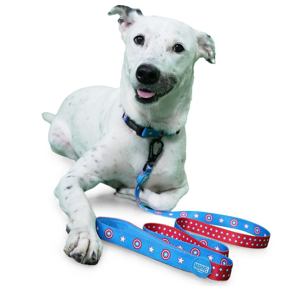 HUFT X Â©MarvelCaptain America Dog Leash - Heads Up For Tails
