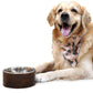 HUFT Jungle Collection Savanna's Dazzle Reversible Dog Bandana - Heads Up For Tails