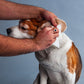 HUFT Biodegradable Pet Wipes_07