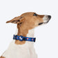 HUFT Striped Love Collar For Dog - Navy - Heads Up For Tails