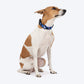 HUFT Striped Love Collar For Dog - Navy - Heads Up For Tails