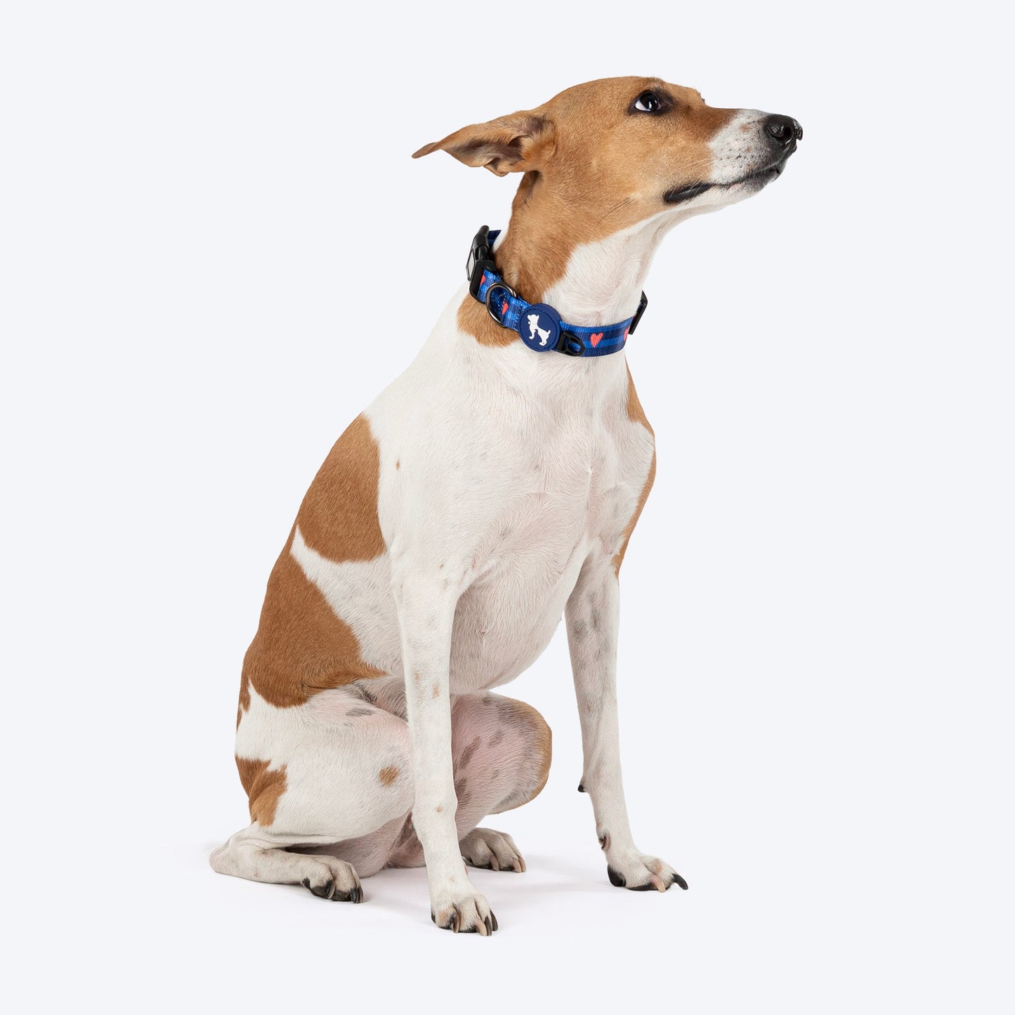 HUFT Striped Love Collar For Dog - Navy - Heads Up For Tails