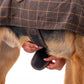 HUFT Tweedle Dee Dog Jacket - Multicolour-4