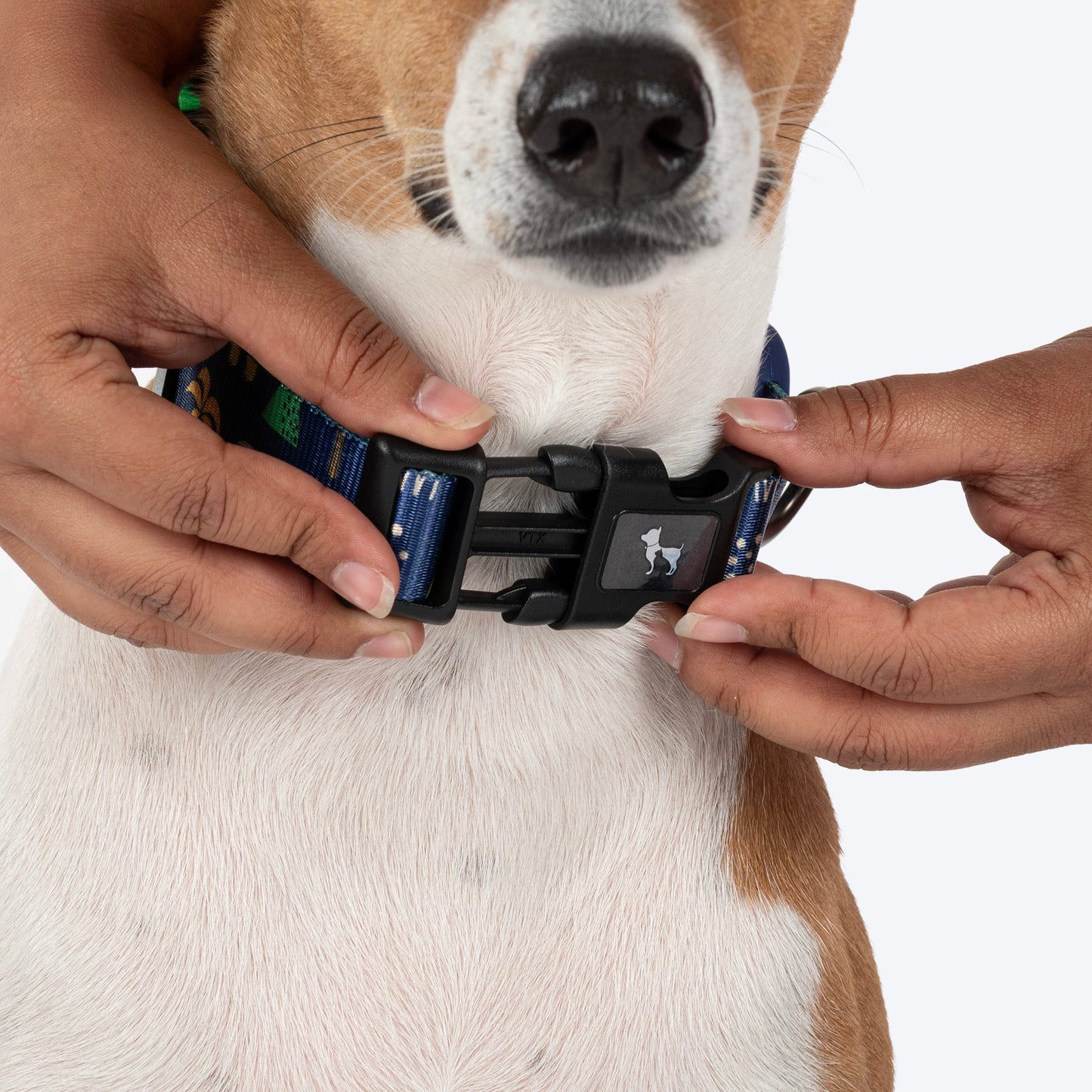 HUFT Dino Land Collar For Dog - Blue - Heads Up For Tails