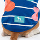 HUFT Petal Play T-Shirt For Dog - Blue - Heads Up For Tails
