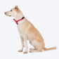 HUFT Bandhani Breeze Bowtie With Strap For Dog - Red - Heads Up For Tails