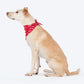 HUFT Leheriya Luxe Knot Bandana For Dog - Pink - Heads Up For Tails