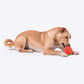 HUFT Berry Chew Toy For Dog - Red & Green - Heads Up For Tails