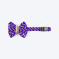 HUFT Desi Chevron Delight Bow Tie With Strap For Dog - Royal Blue - Heads Up For Tails
