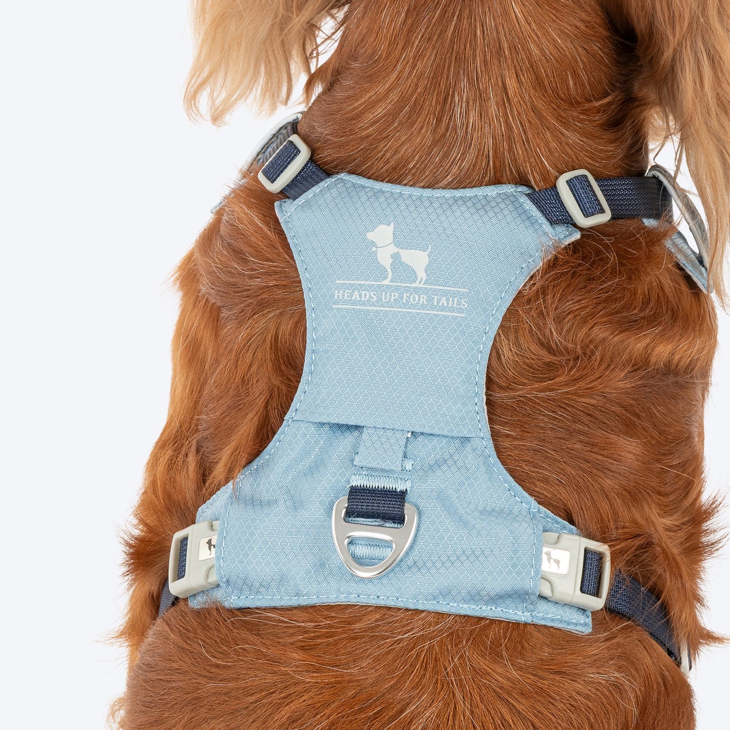 HUFT Walkmate Harness For Dog - Slate Blue - Heads Up For Tails