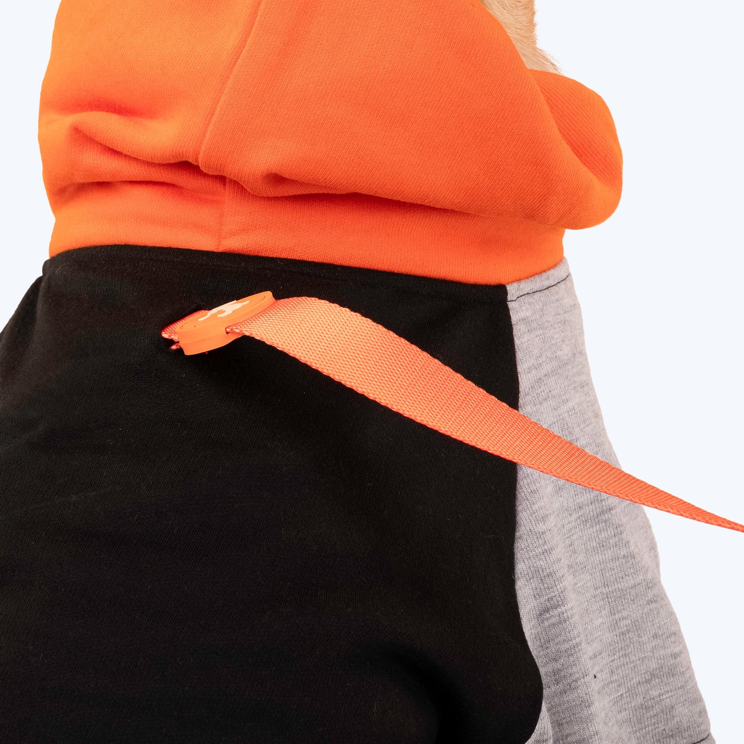 HUFT Colour Block Hoodie Sweatshirt For Pets- Black - Heads Up For Tails