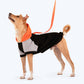 HUFT Colour Block Hoodie Sweatshirt For Pets- Black - Heads Up For Tails