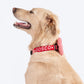 HUFT Personalised Gingham Fabric Collar With Bow Tie For Dogs - Red - Heads Up For Tails