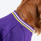 Dash Dog Trailblazer Pocket Sweatshirt For Dog - Purple - Heads Up For Tails