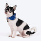 HUFT Bandhani Breeze Scarf For Dog & Cat - Blue - Heads Up For Tails