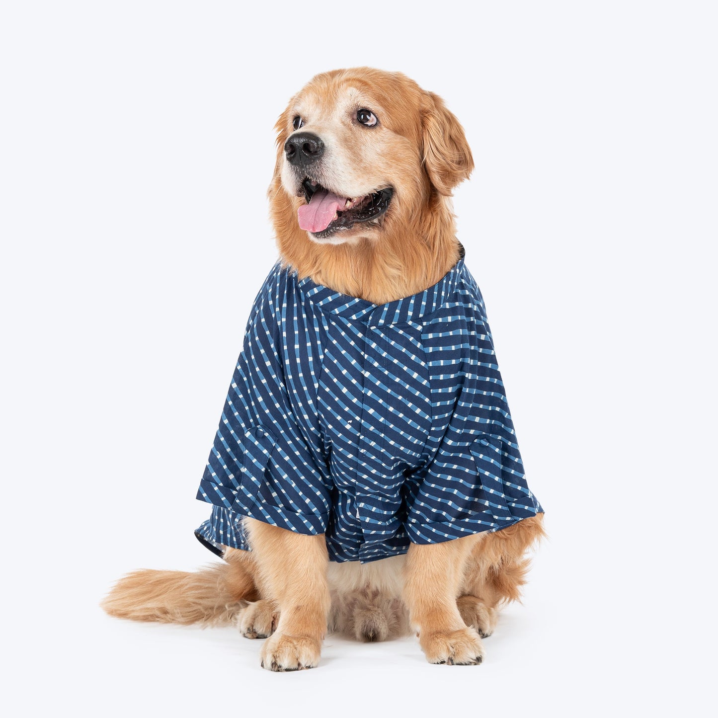 HUFT Pawdhani Lehriya Kurta For Dog - Blue