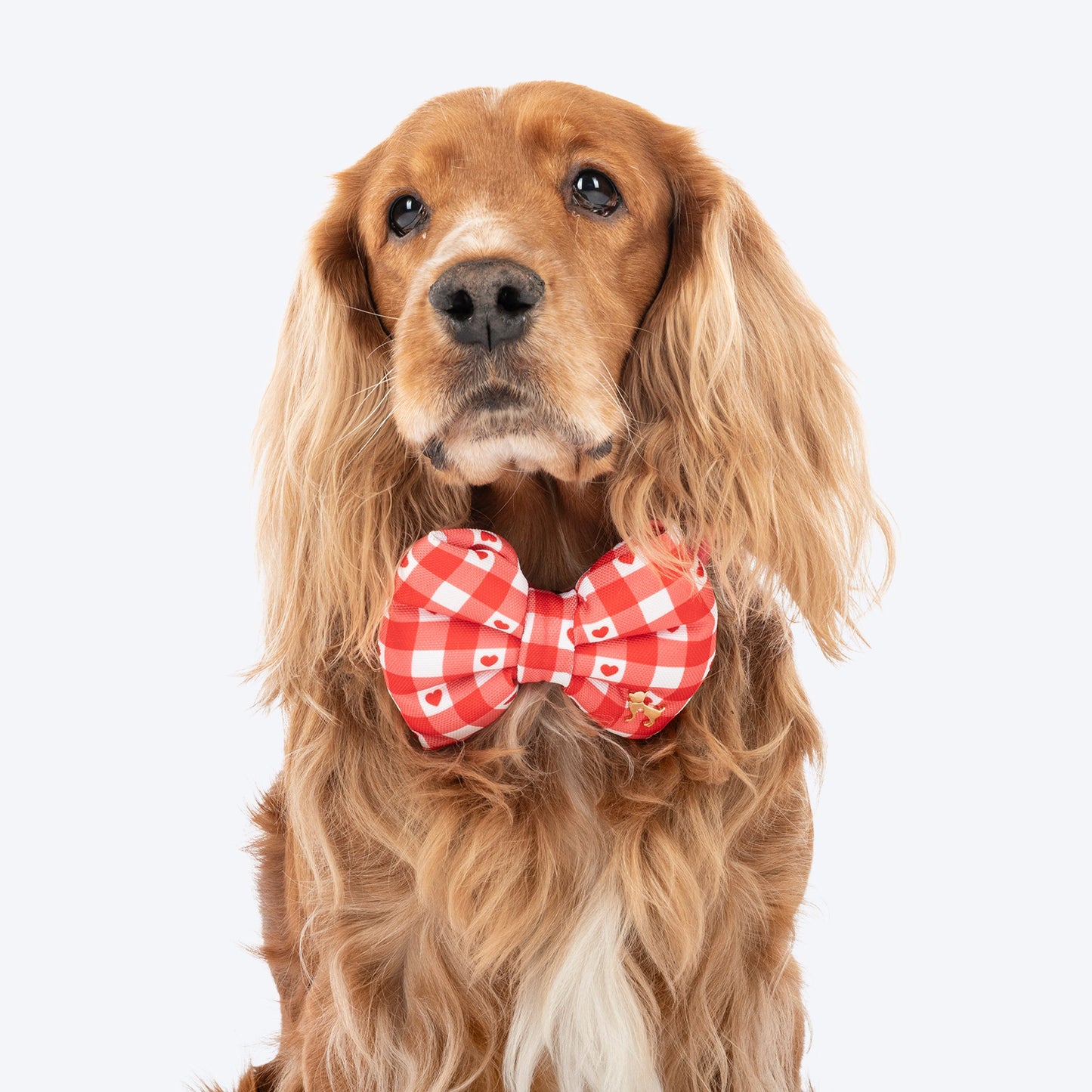 HUFT Jingle Hearts Collar With Bow Tie For Dog - Red & White - Heads Up For Tails