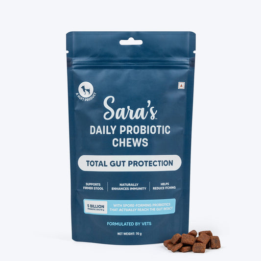 Sara's Daily Probiotic Chews: Gut & Digestive Support - 70 g