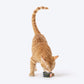 Meowsi by HUFT Chicken Breast with Quail Egg p¢t©, 80 gm can, grain-free, with vitamins and minerals for cats.
