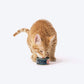 Meowsi by HUFT Tuna & Chicken P¢t© Canned Cat Wet Food, 80 gm, grain-free with vitamins and minerals.