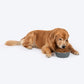 HUFT Sniff N' Snack Embossed Steel Bowl For Dogs - Grey - Heads Up For Tails