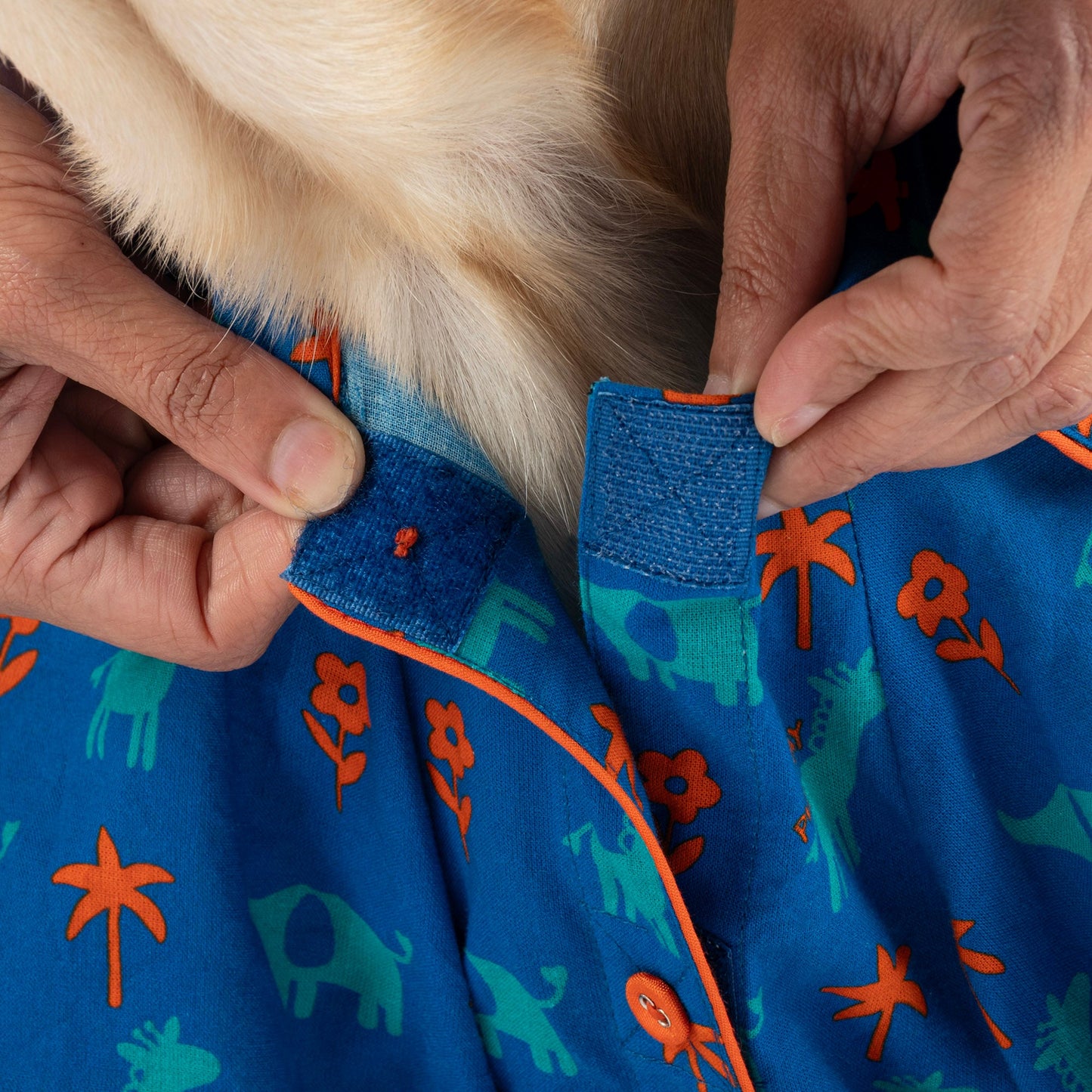 HUFT X Pinklay Jungle Joyride Shirt For Dog - Blue & Orange - Heads Up For Tails