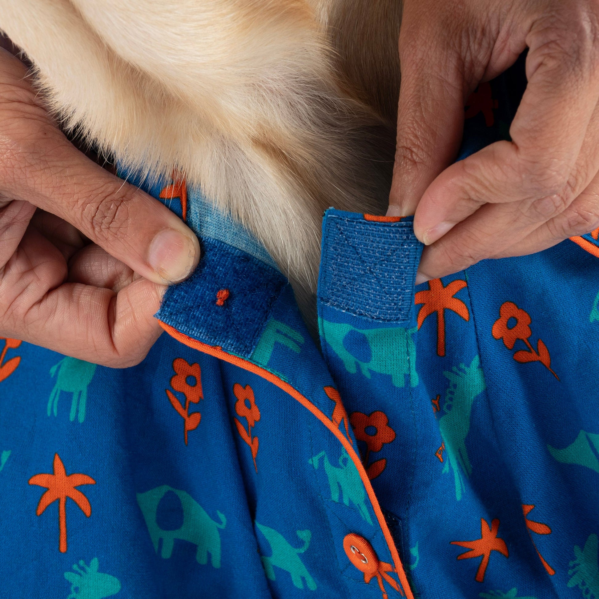 HUFT X Pinklay Jungle Joyride Shirt For Dog - Blue & Orange - Heads Up For Tails