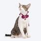 HUFT Brocade Dazzle Bow Tie With Strap For Cat - Purple - Heads Up For Tails