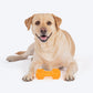 HUFT Chew Champ Toy For Dog_05