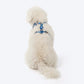 HUFT Twinkle Tails Adjustable Harness For Dog - Blue - Heads Up For Tails