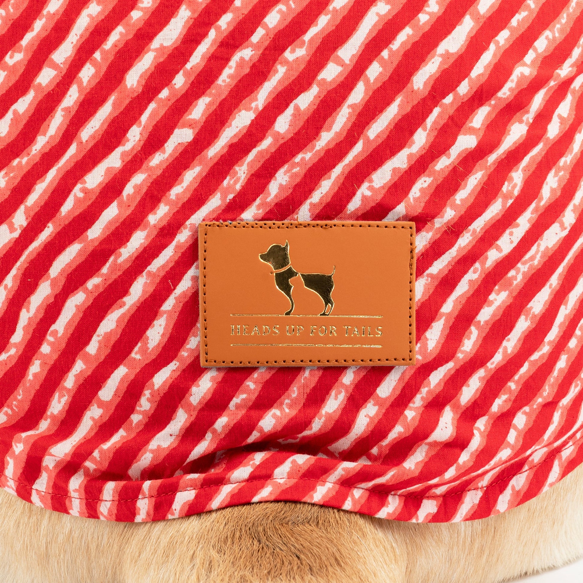 HUFT Pawdhani Leheriya Kurta For Dog - Red - Heads Up For Tails