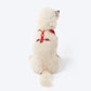 HUFT Polka Play Adjustable Harness For Dog - Red - Heads Up For Tails