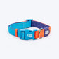 Dash Dog Padded Collar For Dog - Blue & Orange