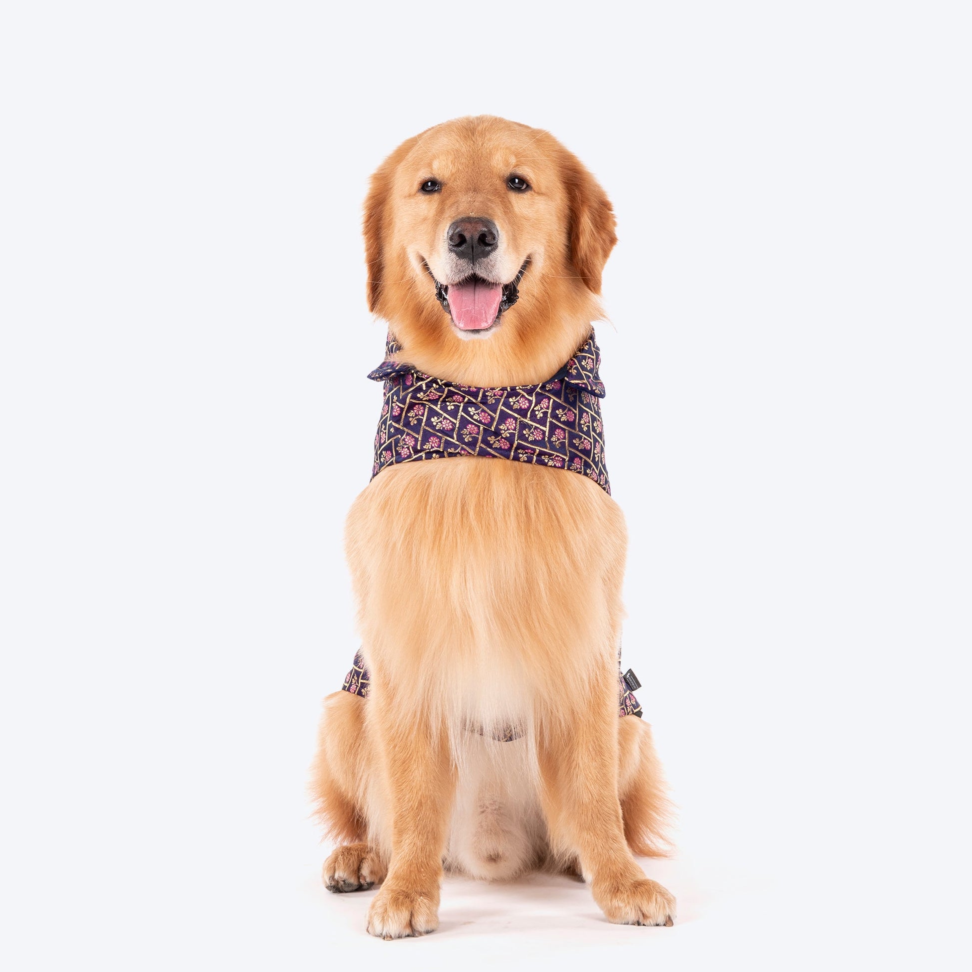 HUFT Petals & Pyaar Brocade Sherwani For Dog - Navy Blue - Heads Up For Tails