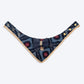 HUFT Rang Riwaz Scarf For Cat & Puppy - Blue - Heads Up For Tails