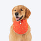 HUFT Royal Elephant Bandana For Dog - Orange - Heads Up For Tails