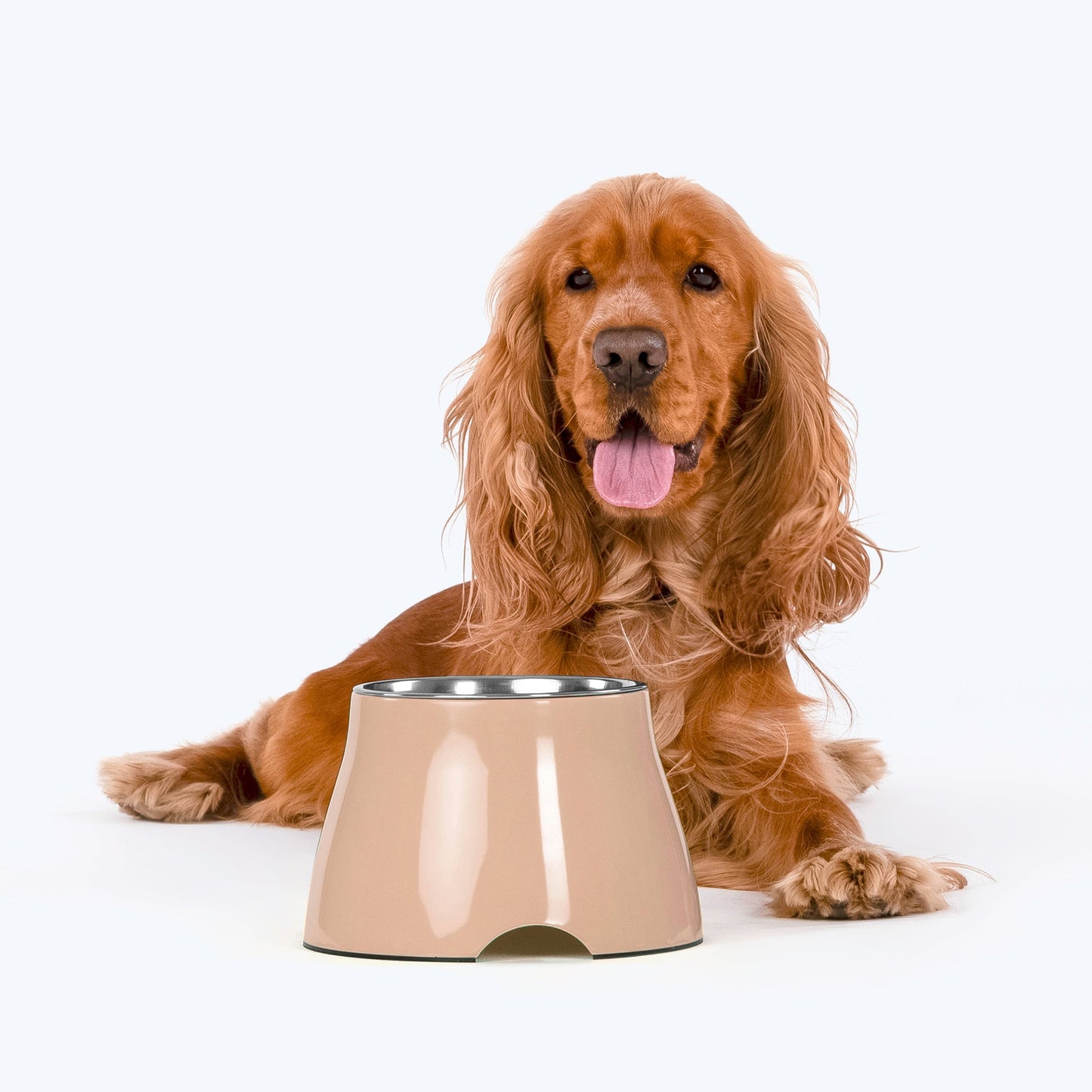 HUFT Elevated Bowl For Dogs & Cats - Peach - Heads Up For Tails